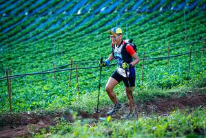 BIB: 
                            <button type="button" onclick="openModal(19160200)" class="btn btn-primary btn-sm float-right btn-popup" data-toggle="modal" data-target=".modal-high-quality">
                        <i class="fas fa-shopping-cart"></i> Add to Cart
                    </button>
                                            <button type="button" onclick="isThisMe(19160200, true)" class="btn btn-success btn-sm float-right btn-popup btn-isme hidden" data-toggle="tooltip" data-placement="bottom" title="นี่คือรูปของคุณใช่ไหม คลิกที่นี่เพื่อเอาเข้าอัลบั้ม">
                        <i class="fas fa-plus"></i> Add to album
                    </button>
                    <button type="button" onclick="isThisMe(19160200, false)" class="btn btn-warning btn-sm float-right btn-popup btn-isnotme hidden">
                        <i class="fas fa-ban"></i> Remove from album
                    </button>